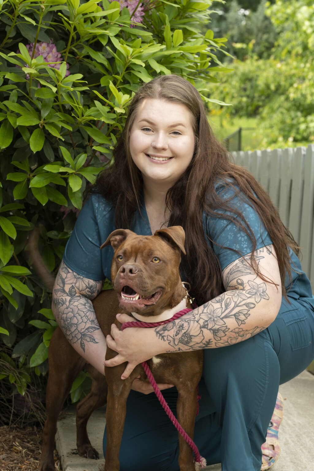 Veterinarian In Sherrills Ford, NC 28673 Veterinary Hospital At The Lake