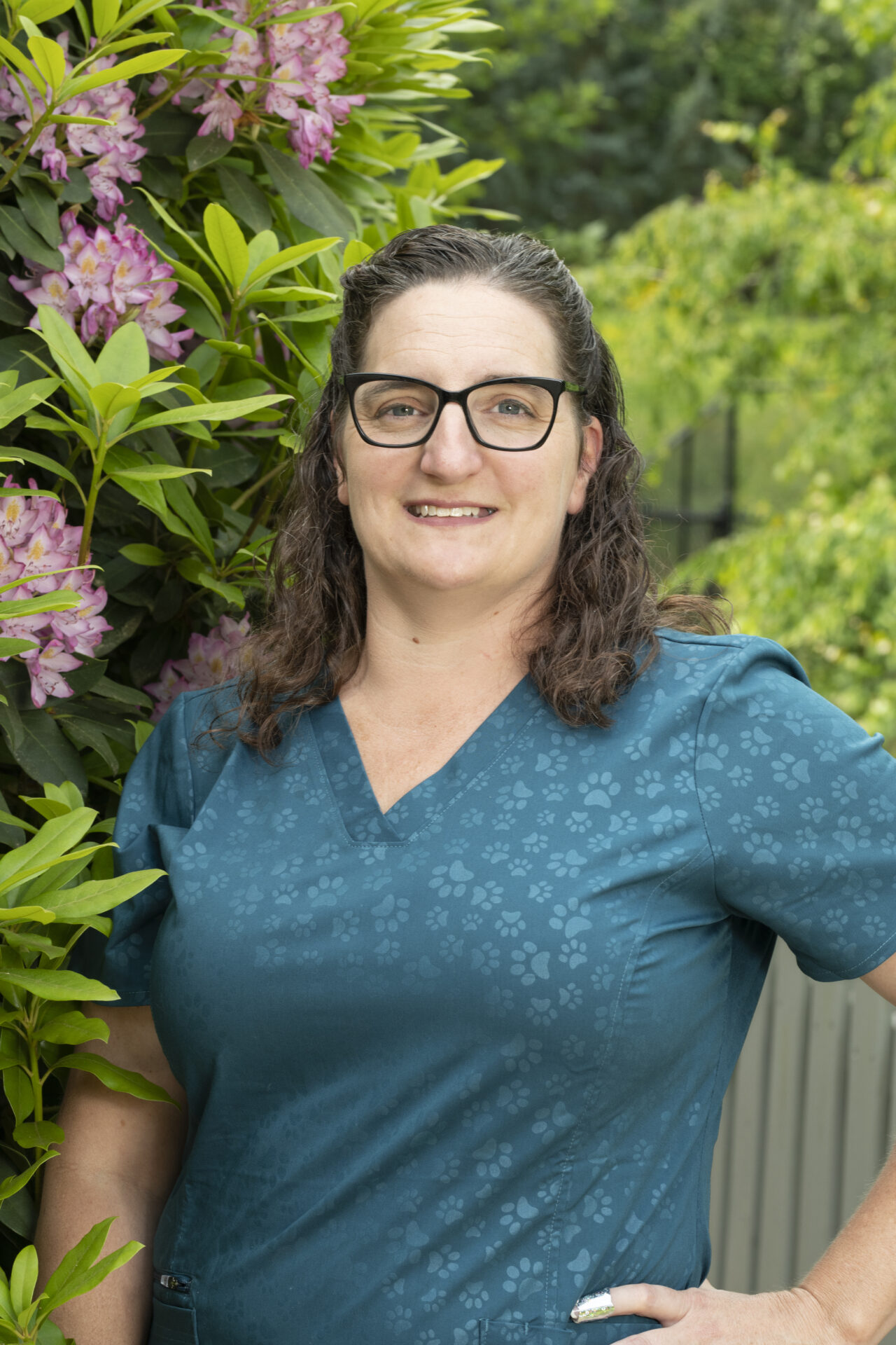 Veterinarian In Sherrills Ford, NC 28673 Veterinary Hospital At The Lake