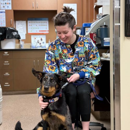 A woman in a lab coat gently pets a dog