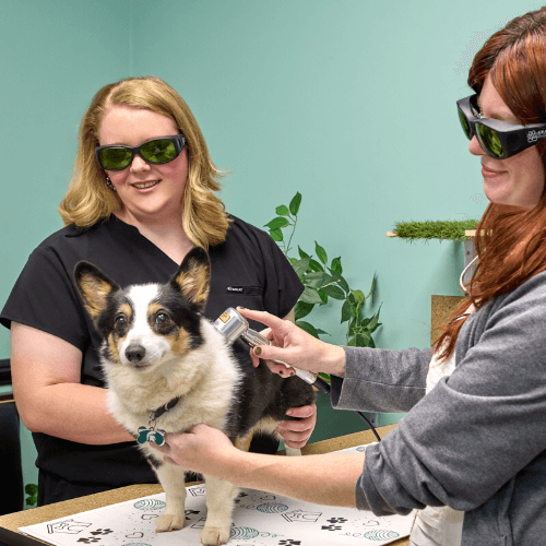 Laser Therapy