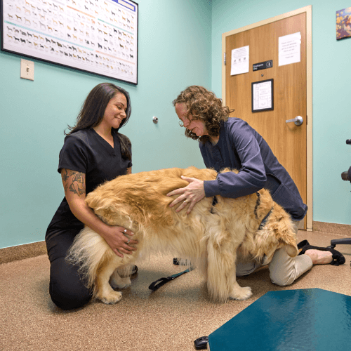 Physical Exams Appointments