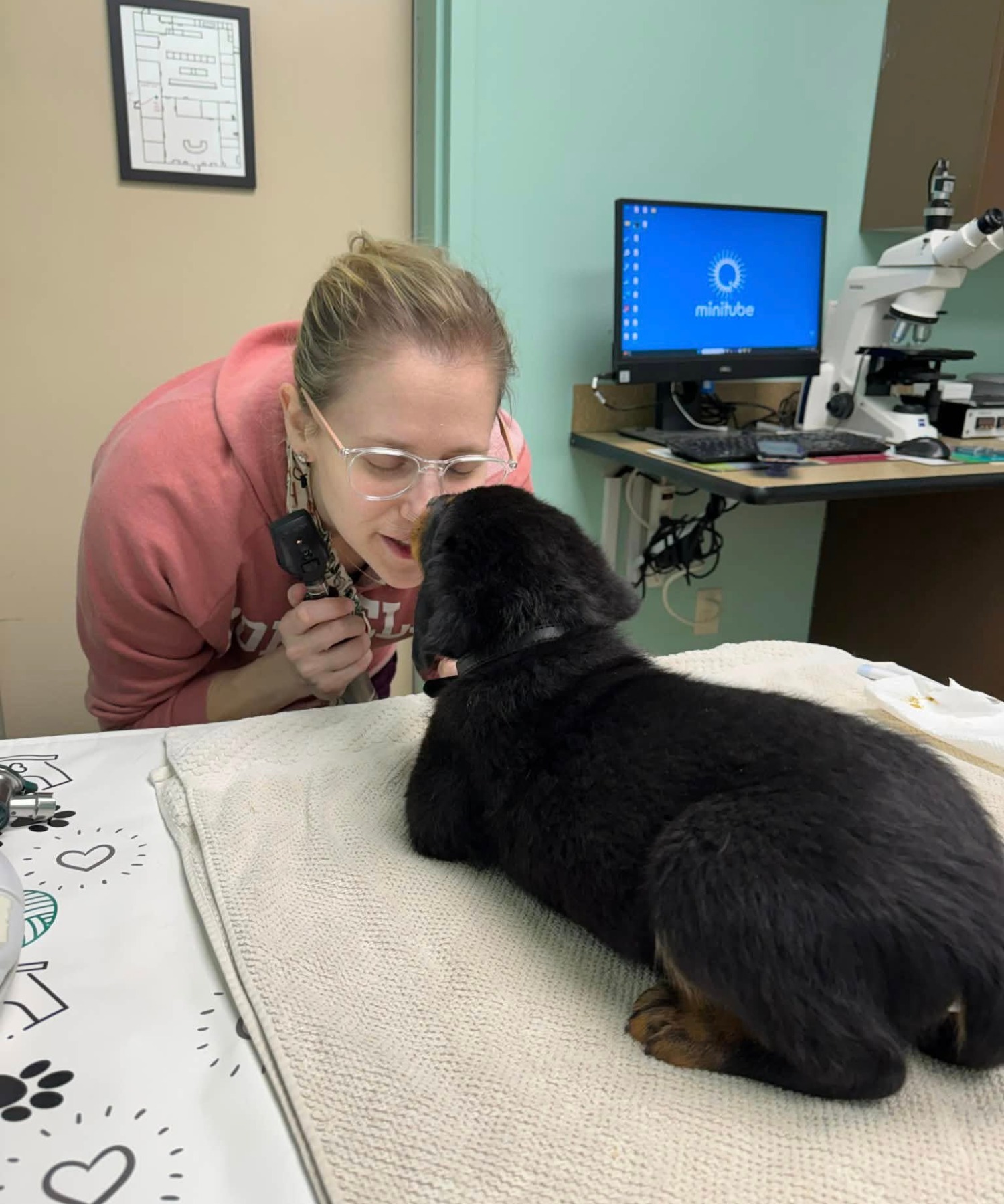 VetHosp at Lake Reviews 2