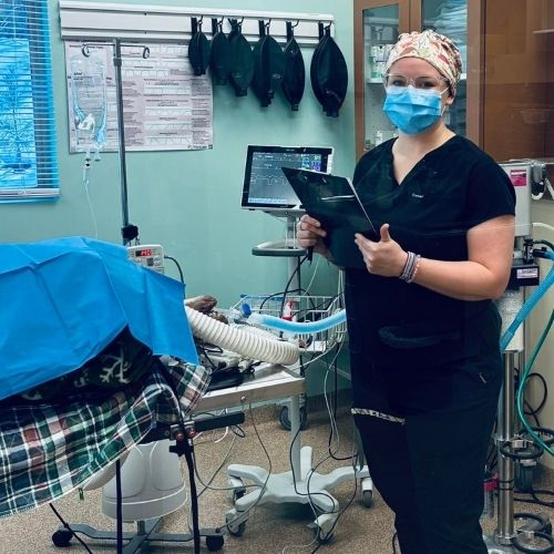 vet during a surgery procedure